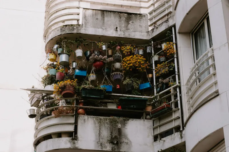 Tiny Terrace, Big Harvest: How to Grow Real Food on Your Apartment Balcony