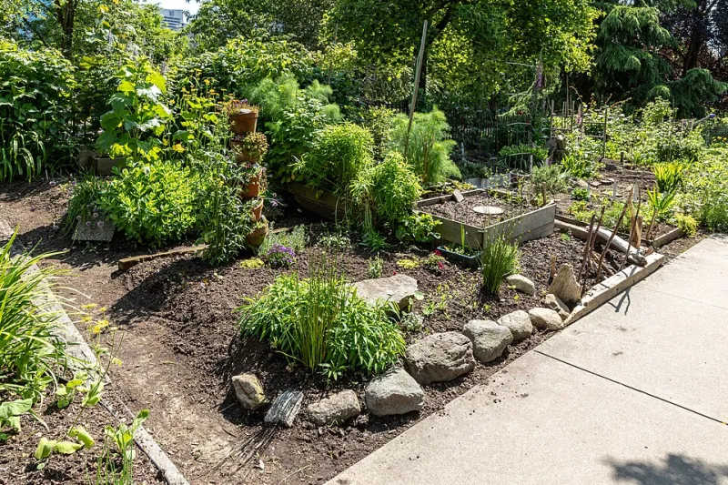 Dirt Under Their Nails, Seeds in Their Pockets: The Activists Turning America's Cities Green