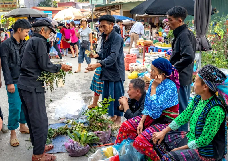 Pass It On: Inside the Plant Swap Movement Changing How We Think About Growing