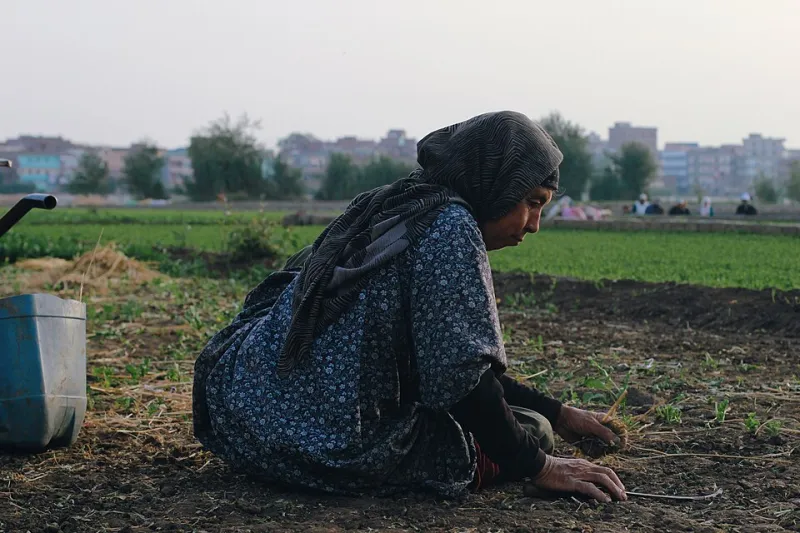 Rooted in Ritual: How a Generation of Plant Parents Turned Potting Soil into Self-Care